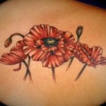 Poppy flower tattoo